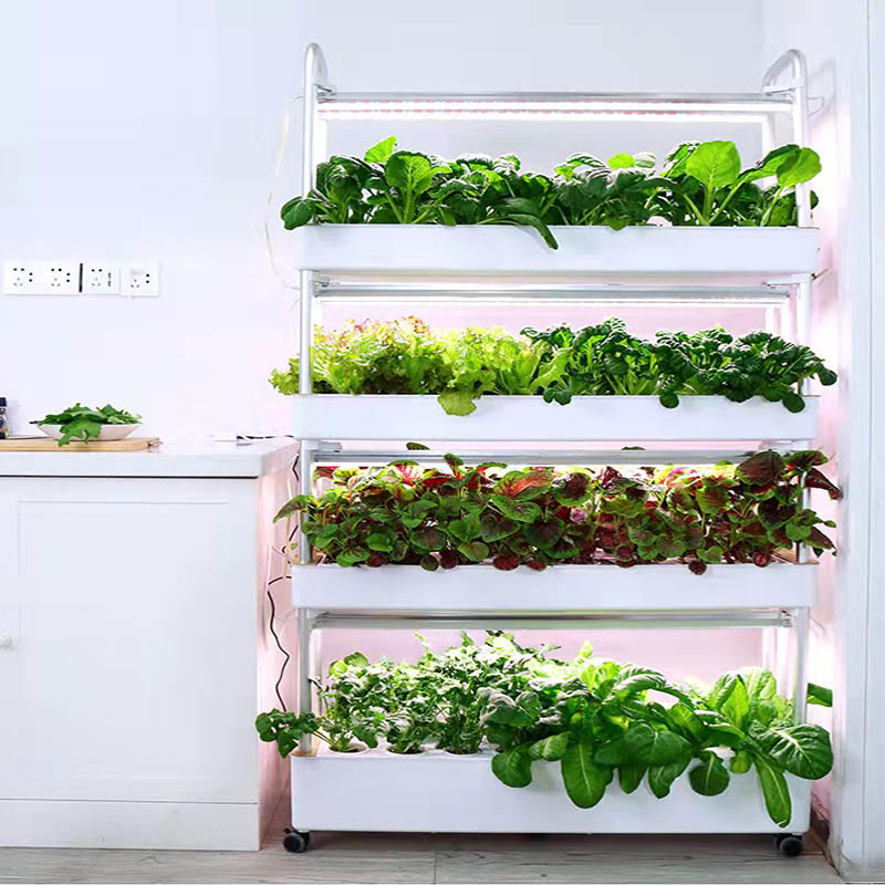 ydroponic Planting System Smar - đánh giá và giá Smart Home Diy