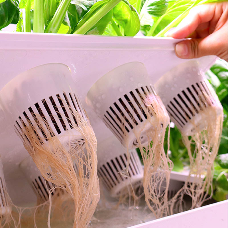 ydroponic Planting System Smar - đánh giá và giá Smart Home Diy